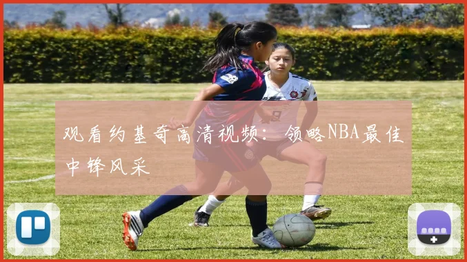 观看约基奇高清视频：领略NBA最佳中锋风采