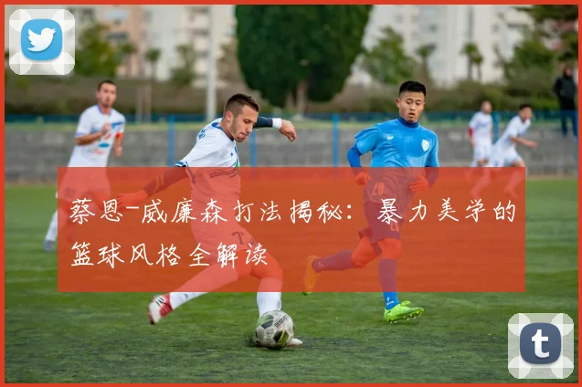 蔡恩-威廉森打法揭秘:暴力美学的篮球风格全解读